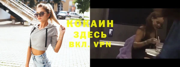 прущие грибы Беслан