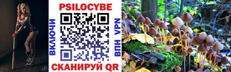 Псилоцибиновые грибы мицелий  Туапсе 