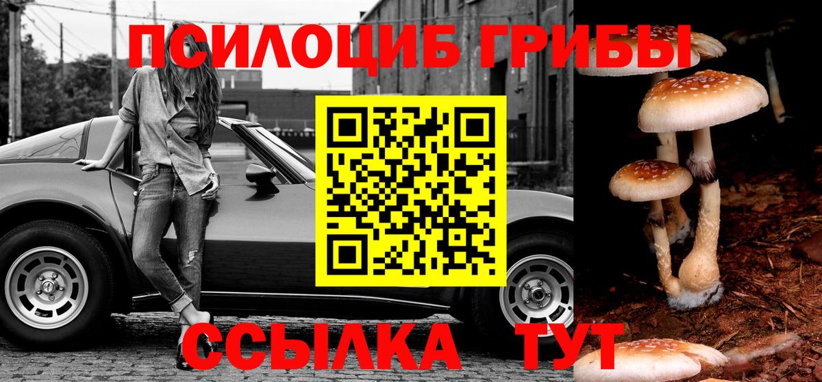 Галлюциногенные грибы GOLDEN TEACHER Туапсе